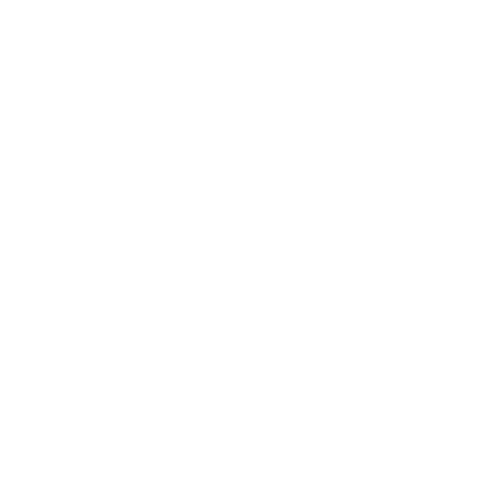 LOGO-Fort-Limp-Branco